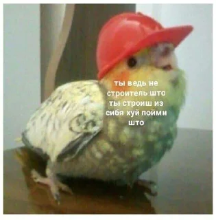 Стикер ~stik~ - 4