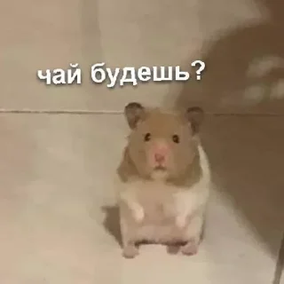 Стикер ~stik~ - 9