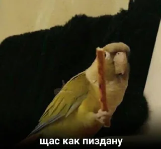 Стикер ~stik~ - 5