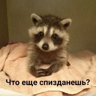 Стикер ~stik~ - 3