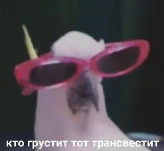 Стикер ~stik~ - 11