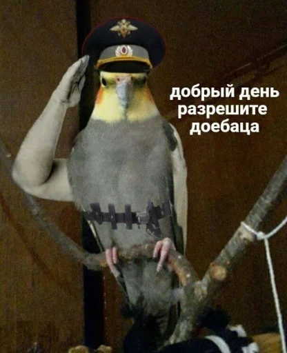 Sticker stik_90f81_by_EmojiRu_Bot - 1