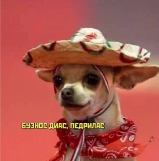 Стикер ёпарасете - 0