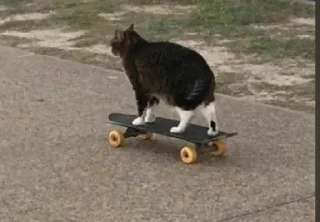 Стикер Мой стикер @MoiStikiBot - 4