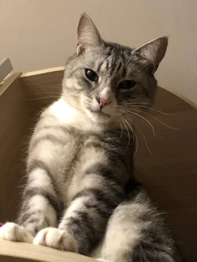 Sticker stik_nu_tip_ya_by_TgEmodziBot - 1