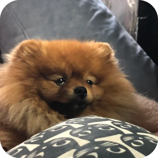 Sticker stik_nu_tip_ya_by_TgEmodziBot - 1