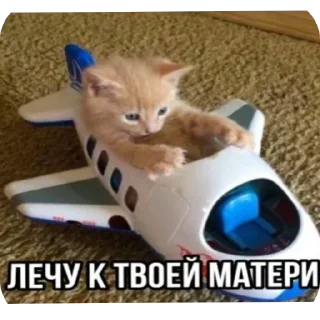 Sticker @yaziktembot <--- стикеры тут - 8