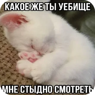 Sticker @yaziktembot <--- стикеры тут - 1