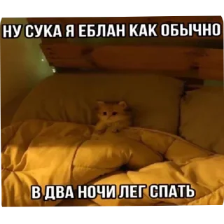 Sticker @yaziktembot <--- стикеры тут - 7