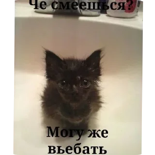 Sticker @yaziktembot <--- стикеры тут - 10