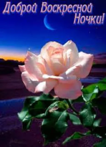 Стикер stikiri2008_by_TgEmodziBot - 1