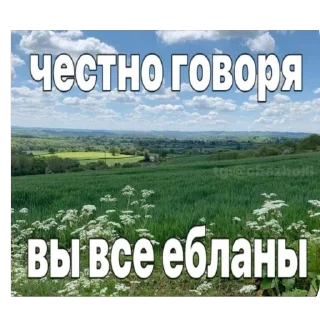 Sticker я ахуенен @bnfqq - 1