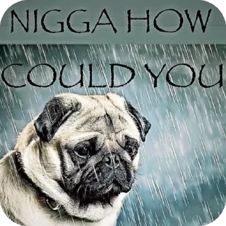 Стикер պաշտոնական - 5