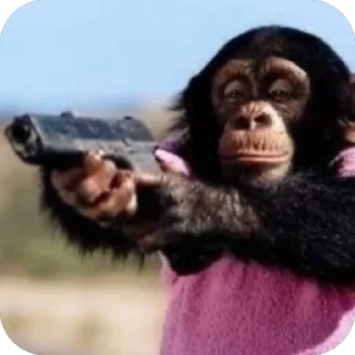 Стикер պաշտոնական - 9