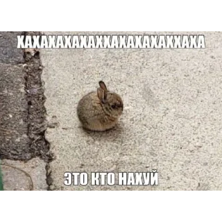 Sticker Супер мега набор @LogovoFoxa - 2