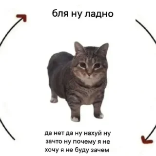 Sticker Супер мега набор @LogovoFoxa - 9