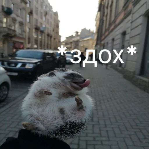 Стикер superhri - 1