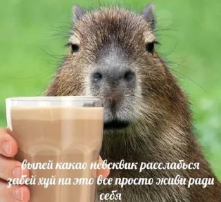 Sticker swag w us by lada - 4