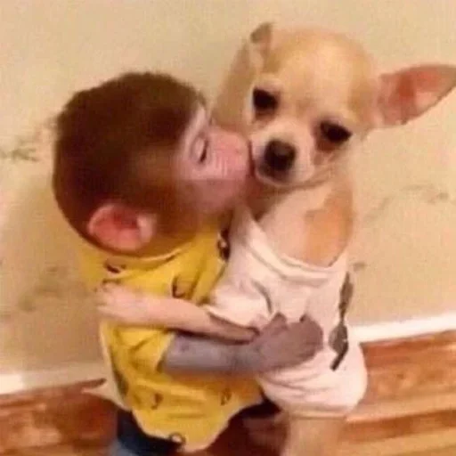 Стикер sweet_pampkin_3_by_erygtrtsbot - 1