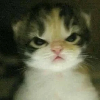 Стикер 👉 @sbornik_emoji - 2