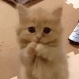 Стикер 👉 @sbornik_emoji - 6