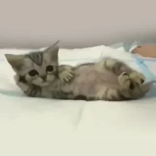 Стикер 👉 @sbornik_emoji - 5