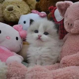 Стикер 👉 @sbornik_emoji - 1