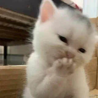 Стикер 👉 @sbornik_emoji - 10