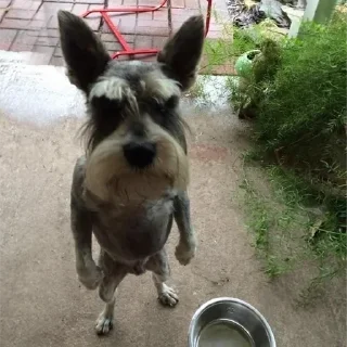 Стикер 👉 @sbornik_emoji - 8