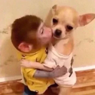 Стикер 👉 @sbornik_emoji - 4