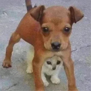 Стикер 👉 @sbornik_emoji - 9