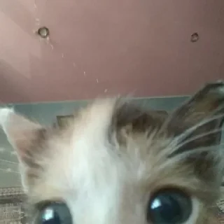 Стикер 👉 @sbornik_emoji - 11