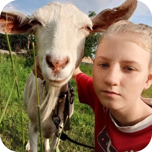 Sticker taiseya_by_TgEmodziBot - 1