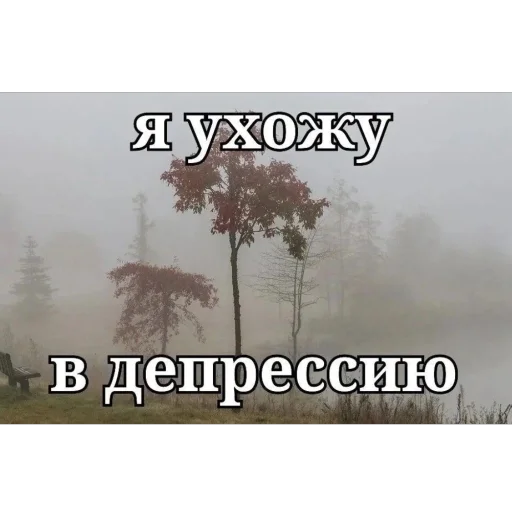 Стикер taiseya_by_TgEmodziBot - 1