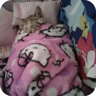 Стикер tangerinovoe - 0