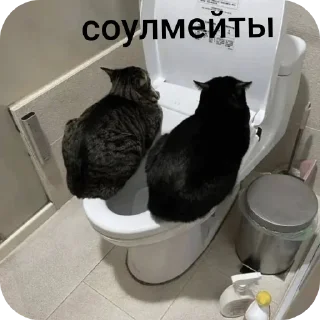 Стикер tangerinovoe - 5