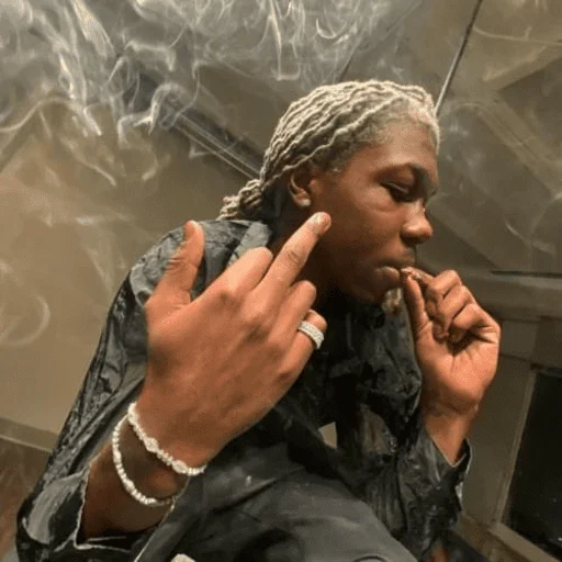 Sticker thedevelopmentofascientist - 1