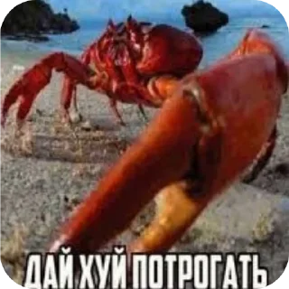 Sticker То что доктор прописал @TgEmodziBot - 4