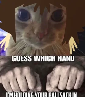 Sticker Бляхож Владос | @stolkeynaisme - 10