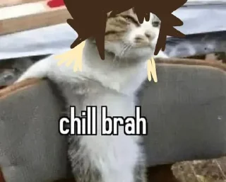 Sticker Бляхож Владос | @stolkeynaisme - 1