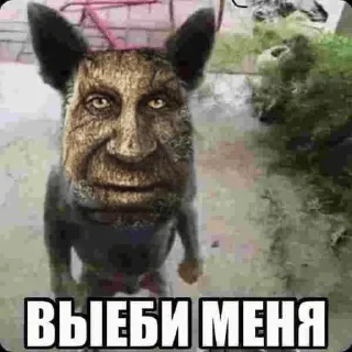 Стикер Лучьше стикеры - @lovesticers - 1