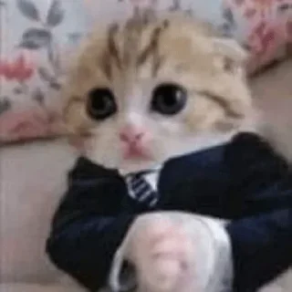 Стикер Лучьше стикеры - @lovesticers - 9