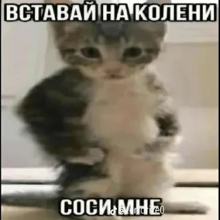 Стикер Лучьше стикеры - @lovesticers - 5