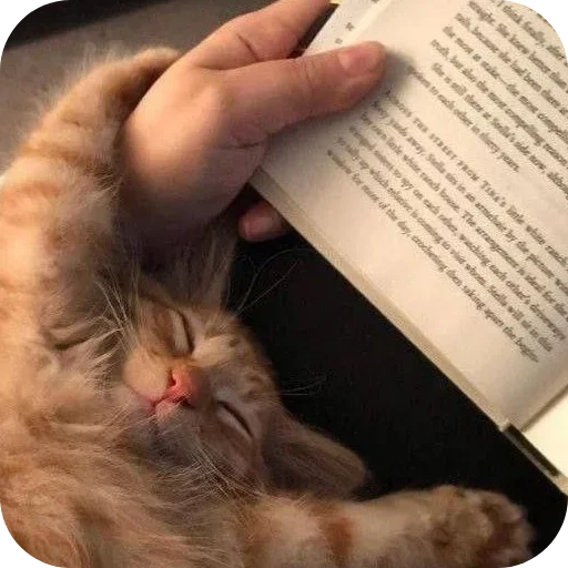 Sticker tvarunku_nltbkm - 1