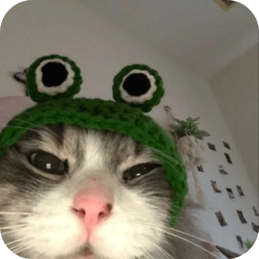 Sticker tvarunku_nltbkm - 1