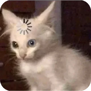 Sticker кицькі від @nltbkmk - 7