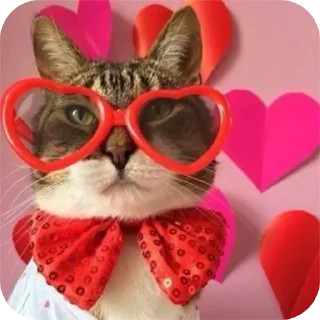 Sticker кицькі від @nltbkmk - 3