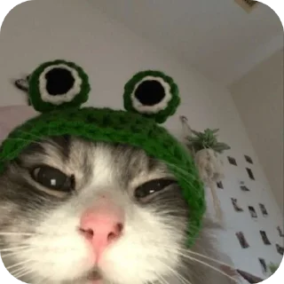 Sticker кицькі від @nltbkmk - 9