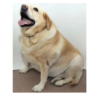 Sticker оагвовьч9в @MoiStikiBot - 3