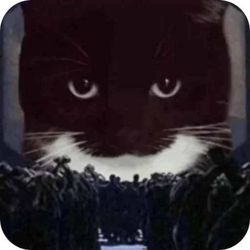 Стикер unico_by_MoiStikiBot - 1